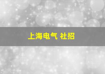 上海电气 社招